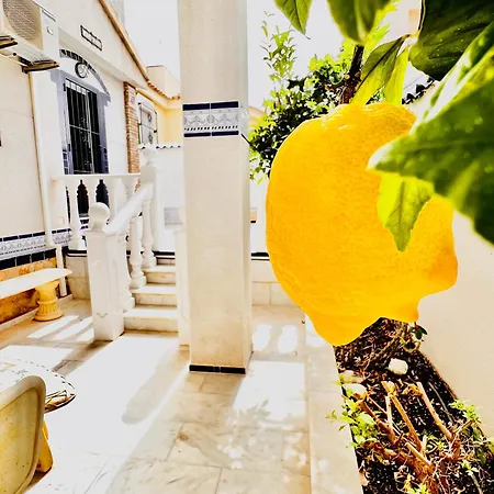 Casa Azul - Private Pool & Bbq 펜션 *